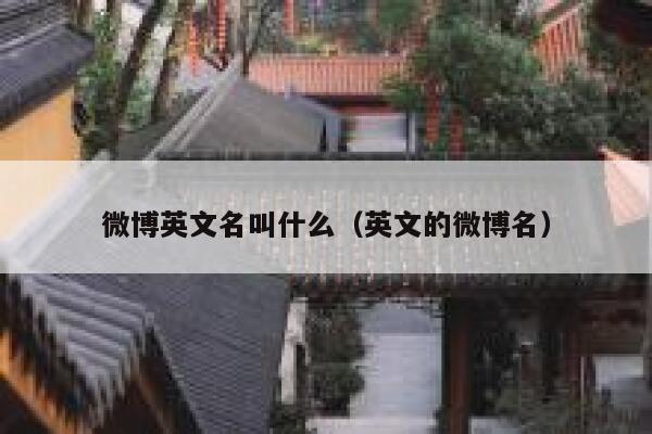 微博英文名叫什么（英文的微博名） 第1张