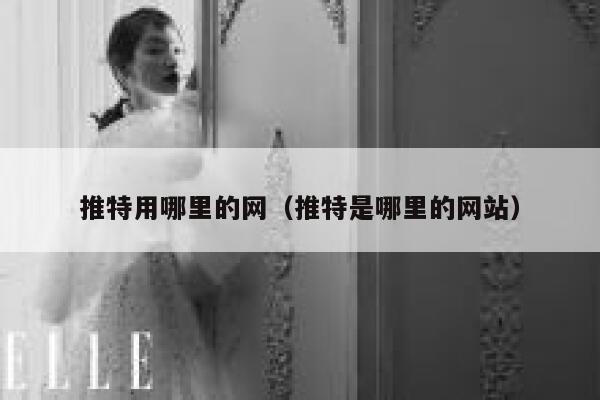 推特用哪里的网（推特是哪里的网站） 第1张