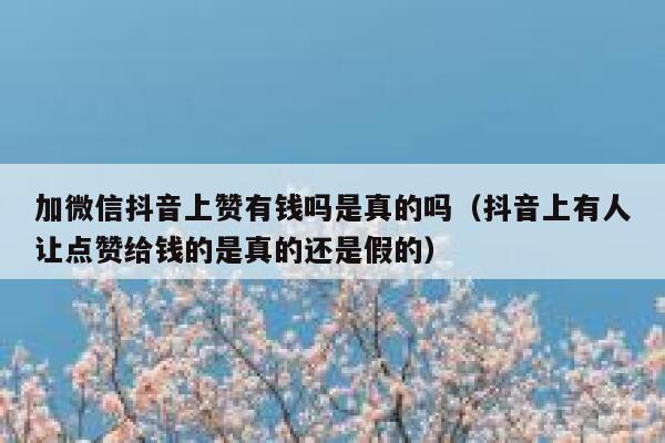 加微信抖音上赞有钱吗是真的吗（抖音上有人让点赞给钱的是真的还是假的） 第1张