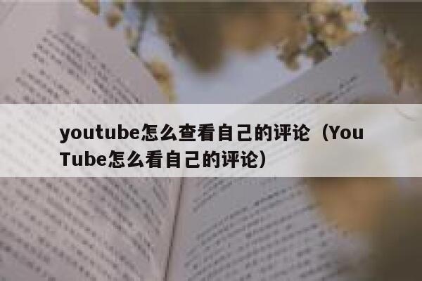 youtube怎么查看自己的评论（YouTube怎么看自己的评论） 第1张