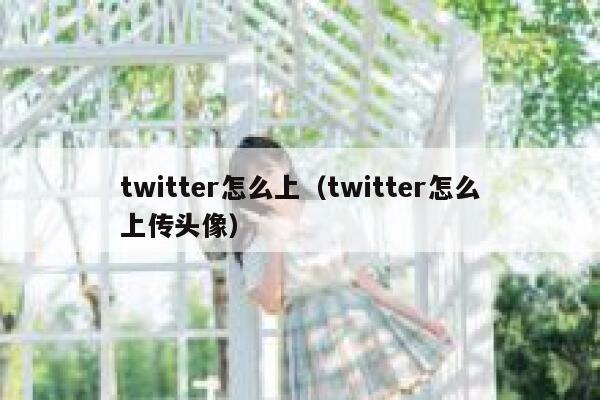 twitter怎么上（twitter怎么上传头像） 第1张