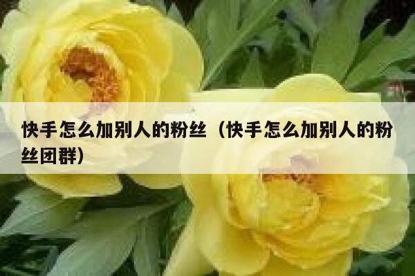 快手怎么加别人的粉丝（快手怎么加别人的粉丝团群） 第1张