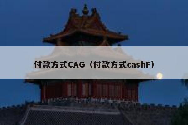 付款方式CAG（付款方式cashF） 第1张