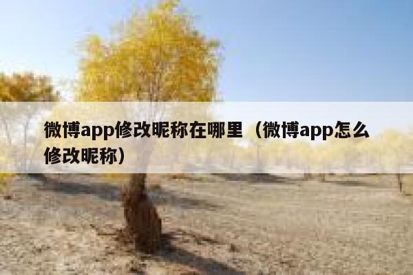 微博app修改昵称在哪里(微博app怎么修改昵称) 第1张 微博app修改昵称在哪里(微博app怎么修改昵称) 第1张