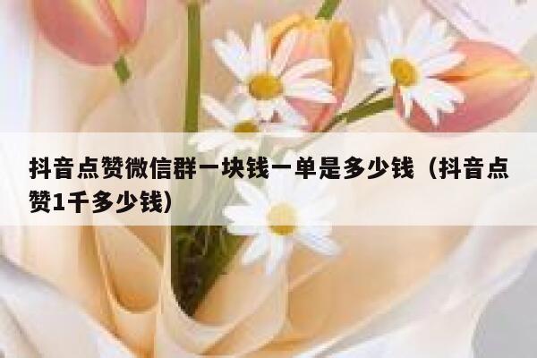 抖音点赞微信群一块钱一单是多少钱（抖音点赞1千多少钱） 第1张