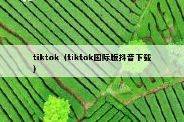 tiktok（tiktok国际版抖音下载） 第1张