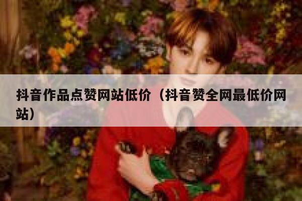 抖音作品点赞网站低价（抖音赞全网最低价网站） 第1张