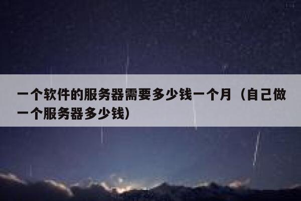 一个软件的服务器需要多少钱一个月（自己做一个服务器多少钱） 第1张