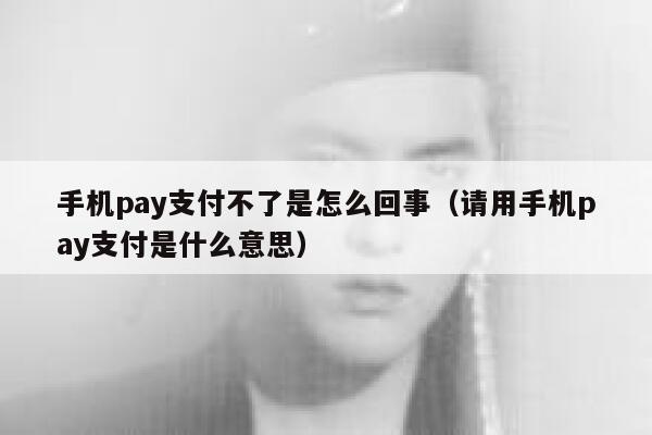 手机pay支付不了是怎么回事（请用手机pay支付是什么意思） 第1张