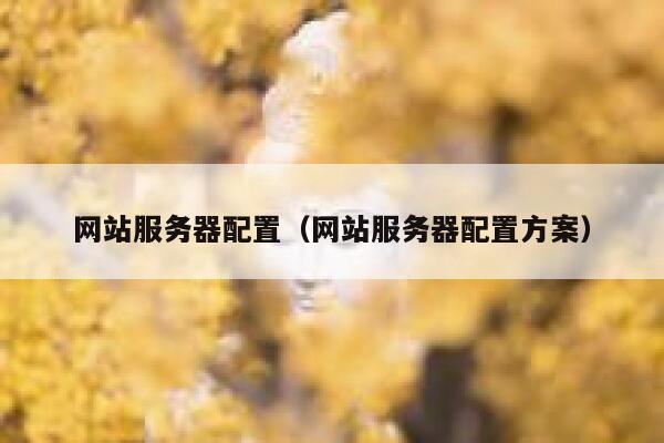 网站服务器配置（网站服务器配置方案） 第1张