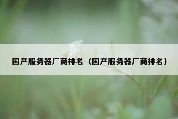 国产服务器厂商排名（国产服务器厂商排名） 第1张