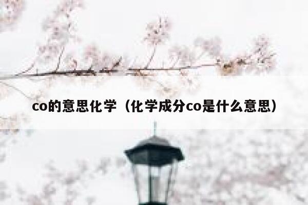 co的意思化学（化学成分co是什么意思） 第1张