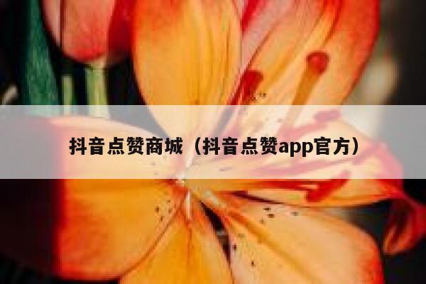 抖音点赞商城（抖音点赞app官方） 第1张