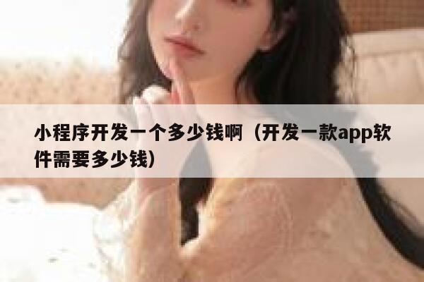 小程序开发一个多少钱啊(开发一款app软件需要多少钱) 第1张 小程序开发一个多少钱啊(开发一款app软件需要多少钱) 第1张