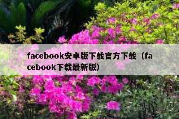 facebook安卓版下载官方下载（facebook下载最新版） 第1张