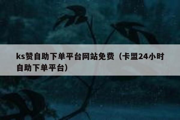 ks赞自助下单平台网站免费（卡盟24小时自助下单平台） 第1张