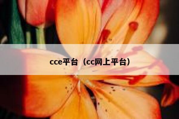 cce平台（cc网上平台） 第1张