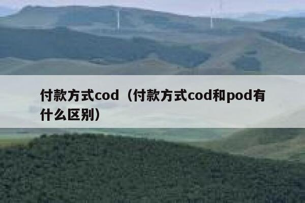 付款方式cod（付款方式cod和pod有什么区别） 第1张