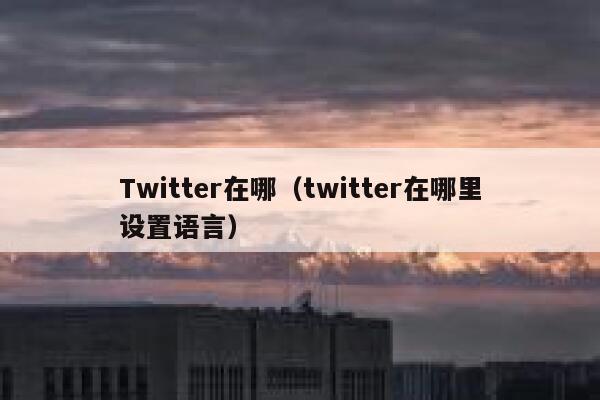 Twitter在哪（twitter在哪里设置语言） 第1张