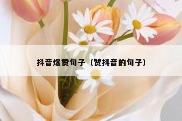 抖音爆赞句子（赞抖音的句子） 第1张