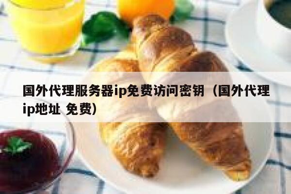 国外代理服务器ip免费访问密钥（国外代理ip地址 免费） 第1张