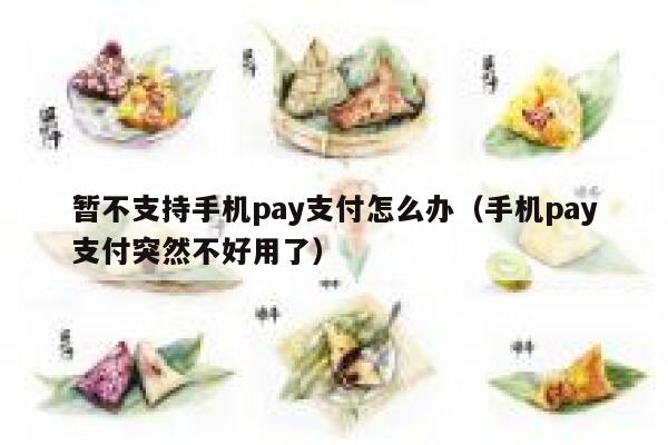 暂不支持手机pay支付怎么办（手机pay支付突然不好用了） 第1张