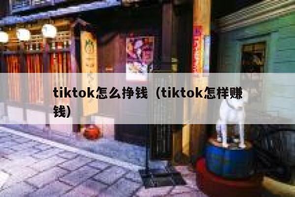 tiktok怎么挣钱（tiktok怎样赚钱） 第1张