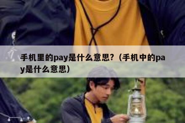 手机里的pay是什么意思?（手机中的pay是什么意思） 第1张
