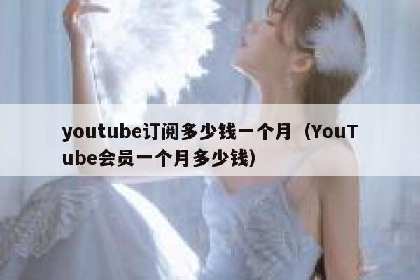 youtube订阅多少钱一个月（YouTube会员一个月多少钱） 第1张
