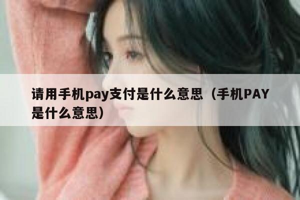 请用手机pay支付是什么意思（手机PAY是什么意思） 第1张