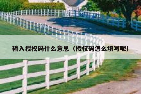 输入授权码什么意思（授权码怎么填写呢） 第1张