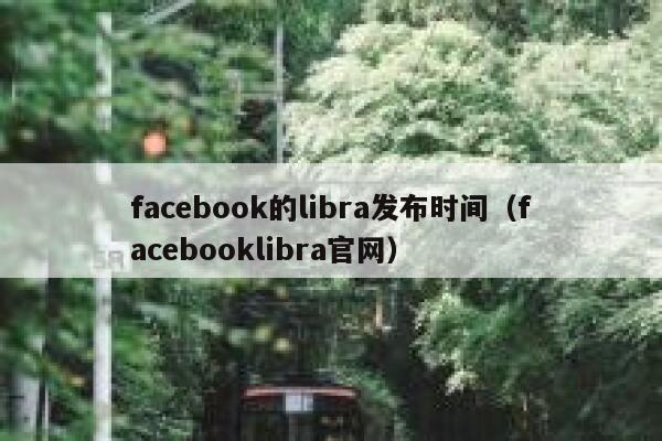 facebook的libra发布时间（facebooklibra官网） 第1张