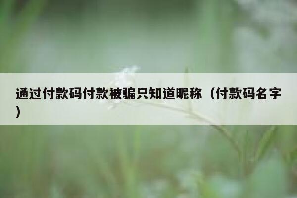 通过付款码付款被骗只知道昵称（付款码名字） 第1张