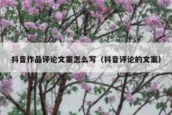 抖音作品评论文案怎么写（抖音评论的文案） 第1张