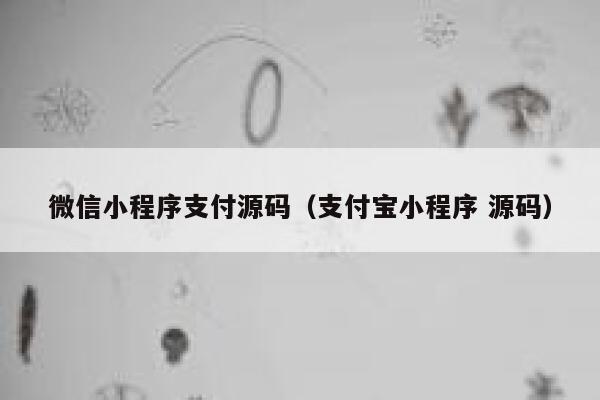 微信小程序支付源码（支付宝小程序 源码） 第1张