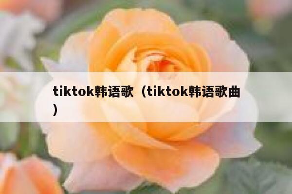 tiktok韩语歌（tiktok韩语歌曲） 第1张