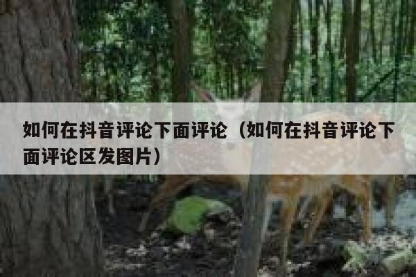 如何在抖音评论下面评论（如何在抖音评论下面评论区发图片） 第1张