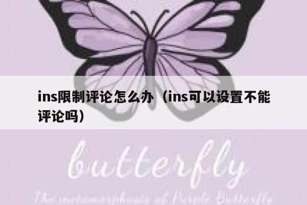 ins限制评论怎么办(ins可以设置不能评论吗) 第1张 ins限制评论怎么办(ins可以设置不能评论吗) 第1张