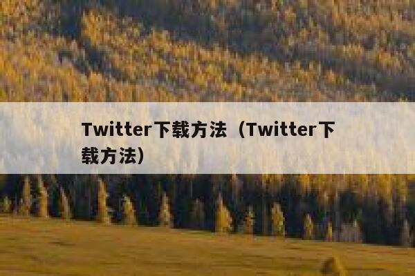 Twitter下载方法（Twitter下载方法） 第1张