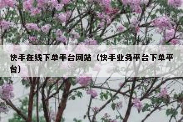 快手在线下单平台网站（快手业务平台下单平台） 第1张