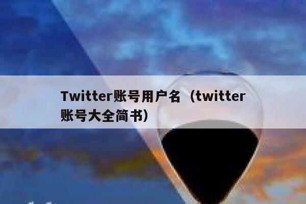 Twitter账号用户名（twitter账号大全简书） 第1张