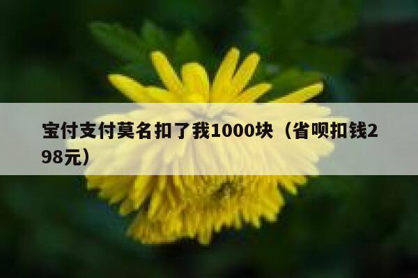 宝付支付莫名扣了我1000块（省呗扣钱298元） 第1张