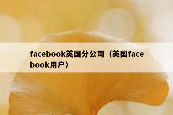 facebook英国分公司（英国facebook用户） 第1张