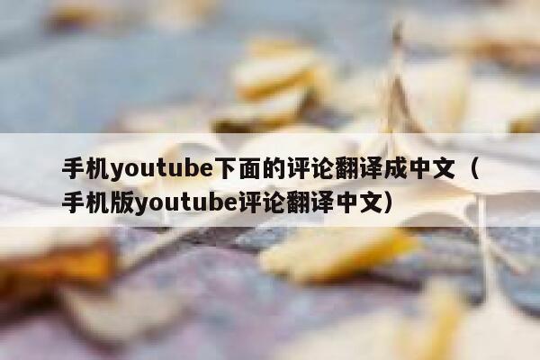 手机youtube下面的评论翻译成中文（手机版youtube评论翻译中文） 第1张