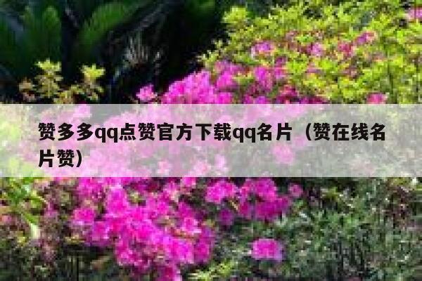 赞多多qq点赞官方下载qq名片（赞在线名片赞） 第1张