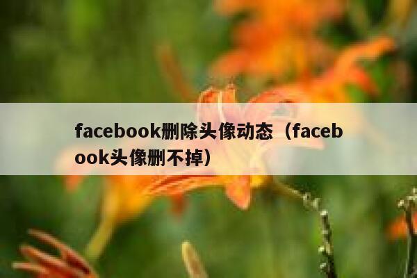 facebook删除头像动态（facebook头像删不掉） 第1张