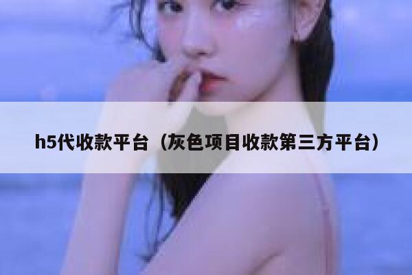 h5代收款平台（灰色项目收款第三方平台） 第1张