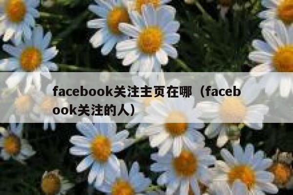 facebook关注主页在哪(facebook关注的人) 第1张 facebook关注主页在哪(facebook关注的人) 第1张