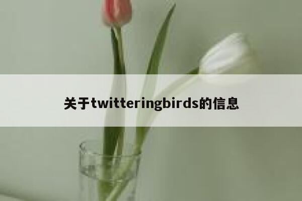 关于twitteringbirds的信息 第1张 关于twitteringbirds的信息 第1张