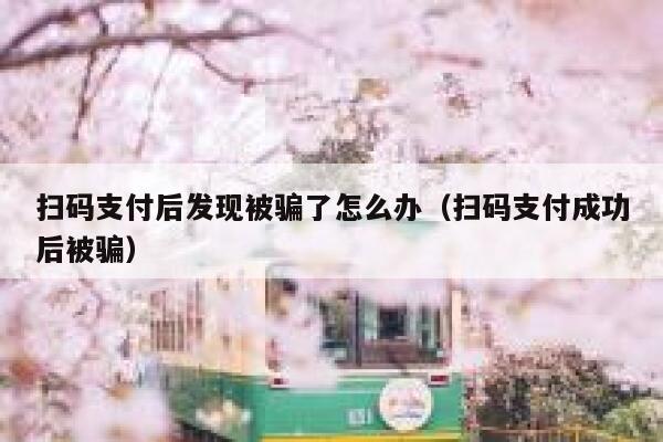 扫码支付后发现被骗了怎么办(扫码支付成功后被骗) 第1张 扫码支付后发现被骗了怎么办(扫码支付成功后被骗) 第1张
